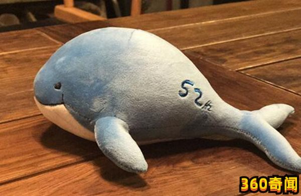 52hz的鲸鱼什么意思，世界上最孤独的鲸鱼(2)